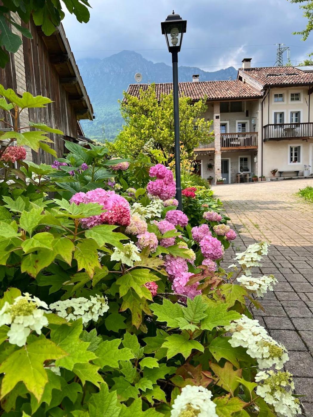 Villa Casa Delle Arti Fattoria Dei Fiori Sospirolo Exterior foto